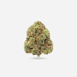 Pennywise – Hybrid - Bloom Supply