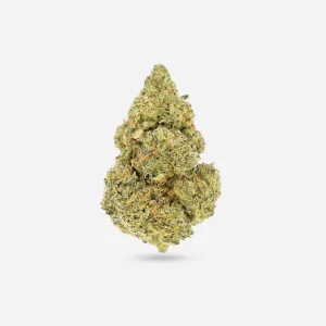 Mimosa – Sativa - Bloom Supply
