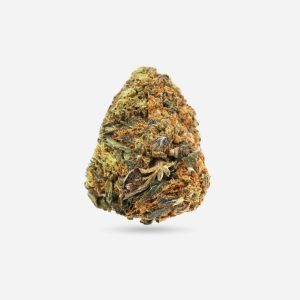 Black Tuna – Hybrid - Bloom Supply