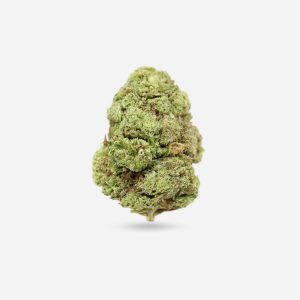 Cherry Bomb – Hybrid - Bloom Supply