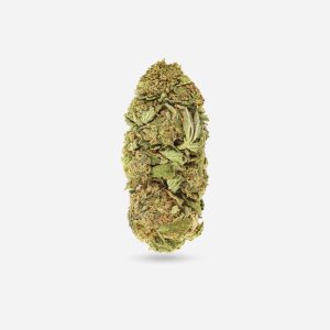 Goji OG – Sativa - Bloom Supply