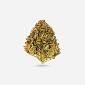 Goldie – Hybrid - Bloom Supply