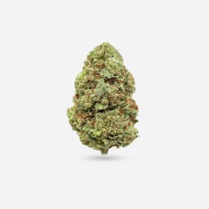Jack Herer – Sativa - Bloom Supply