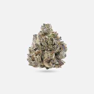 King Louie XIII – Indica - Bloom Supply