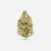MAC 1 – Hybrid - Bloom Supply