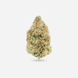 MAC 1 – Hybrid - Bloom Supply