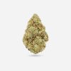 Maui Wowie – Sativa - Bloom Supply
