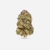 Pink Lemonade Gelato – Sativa - Bloom Supply