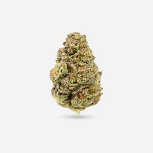 Shoreline – Indica - Bloom Supply