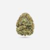 Wedding Cake – Hybrid - Bloom Supply