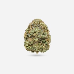 Wedding Cake – Hybrid - Bloom Supply