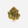 Wedding Crasher – Hybrid - Bloom Supply