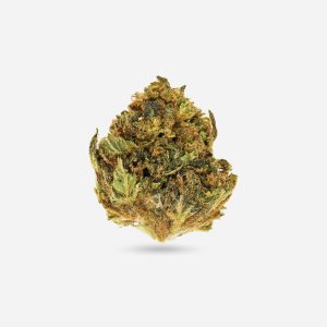 Wedding Crasher – Hybrid - Bloom Supply